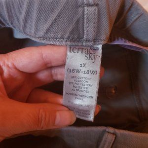 1X (16W-18W) Stretch Slacks Grey by Terra Sky